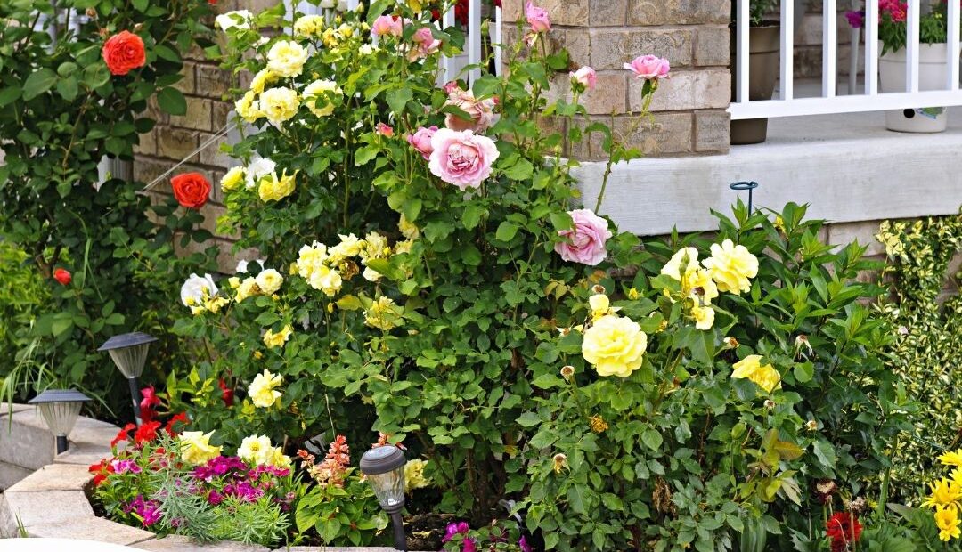 Landscaping