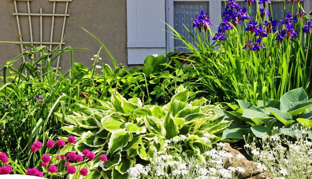 Landscaping