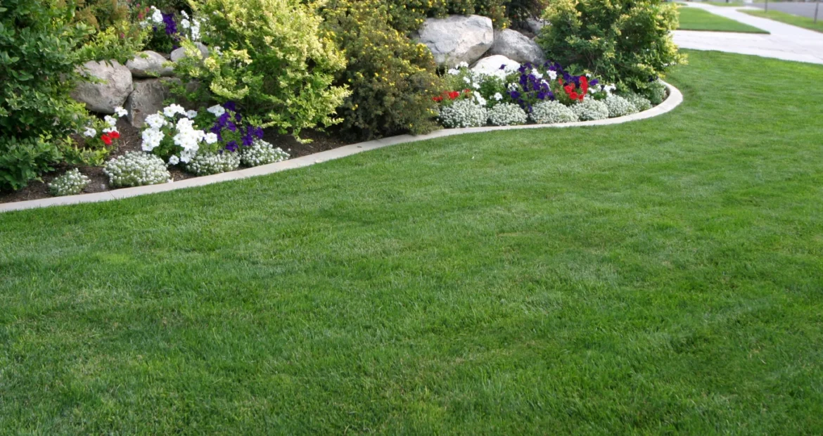 Landscaping