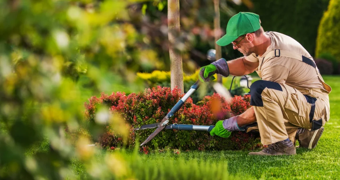 Landscaping